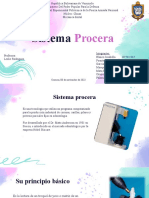 Sistema Procera - 073247