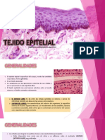 Tejido Epitelial