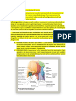 Distribucjjión de Puntos Regios Profunda de La Cara