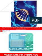 Uf8. Aplicación de Técnicas de PCR Y Electroforesis Al Estudio de Ácidos Nucleicos