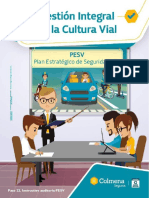 Paso 22. Instructivo Auditoria PESV