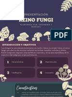 Presentación: Reino Fungi