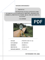 Estudio Topografico - Puente Lobo