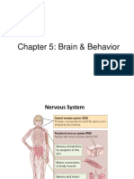 Chapter 5 Lecture Slides