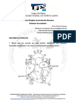 Estudo Dirigido - Sistema Circulatorio - Docx 1 1