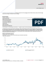 Fs SP Bric 40 Index