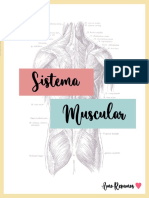 Sistema Muscular Resumo Natalia Porto 3 1