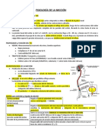 Fisio y Fisiopato de La Micción