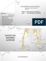 Anatomia Funcional: Tema:Composicion Anatomica Osea Del Miembro Superior