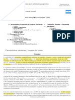 Argentina: Características, Estructura y Recursos Del Sector