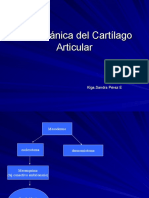 3 Biomecánica Del Cartílago