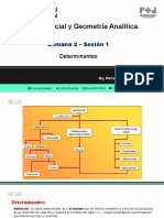 Determinantes Dictada