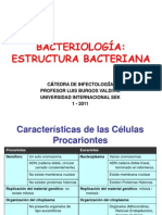 Estructura Bacteriana