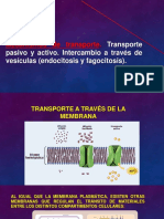 Transporte Celular DDF