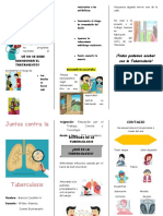 Triptico Sobre La Tuberculosis