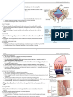 Lec 6