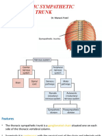 Thoracic Sympathetic Trunk: Dr. Manuni Patel