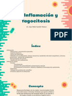 Inflamación y Fagocitosis