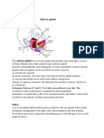 Oral Histology Salivary Glands