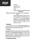 Demanda de Alimentos para Mujer Embarazada