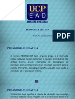 Pedagogia E Didática: Prof Dra Sandra Cristina Motta Bortolotti