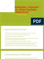 Effectuation Principles