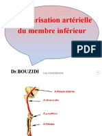 Vascularisation Artérielle Du Membre Inférieur: DR - Bouzidi