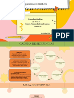 Actividad 6 - Organizadores Gráficos