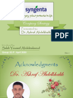 Company Strategy: Presented To: Dr. Ashraf Abdelkhalik