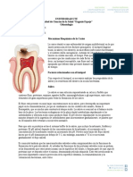 Mecanismo de La Caries Dental