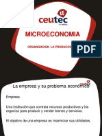 MicroOrganización de La Producción