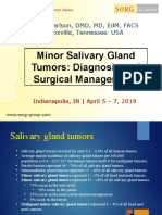 Minor Salivary Gland Tumors Diagnosis and Management