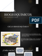 Ciclos Biogeoquimicos: Por: Calderón Tisoc Joaquin