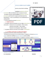 Les Glandes Salivaires