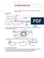 Ystème Nerveux: 1. Histologie