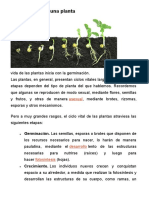 El Ciclo de Vida de Las Plantas