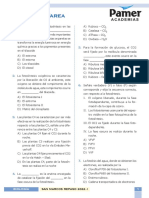 Biologia - R1 - Fotosíntesis y Respiración Celular - Tarea