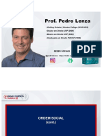 Prof. Pedro Lenza