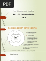 Los Sistemas Socio Técnicos Lic. Y Cp. Pablo Cosimano Unlu