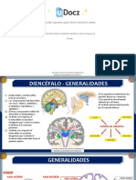 Diencefalo Talamo Subtalamo Epitalamo Sesion 4 Grupo A1 200858 Downloable 1132840