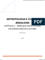 Antropologia e Cultura Brasileira