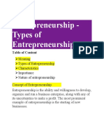 Entrepreneurship - Types of Entrepreneurship