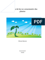 Influência Da Luz No Crescimento Das Plantas