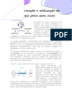 Transformação e Utilização de Energia Pelos Seres Vivos