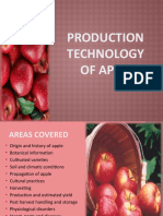 Production Technology of Apple