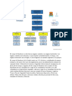 Analizis de La Organizacion