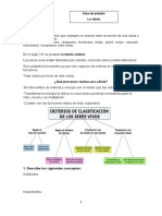 Sus Partes, Considerando: - Sus Estructuras (Núcleo, Citoplasma, Membrana Celular, Pared Celular, Vacuolas, Mitocondria, Cloroplastos, Entre Otras)