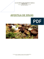 Apostila A U Caboclo Sete Ventanias Ervas