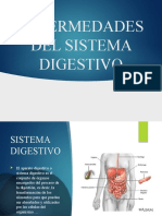 Enfermedades Del Sistema Digestivo