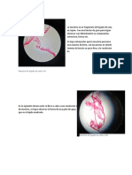 Resultados Conclucion